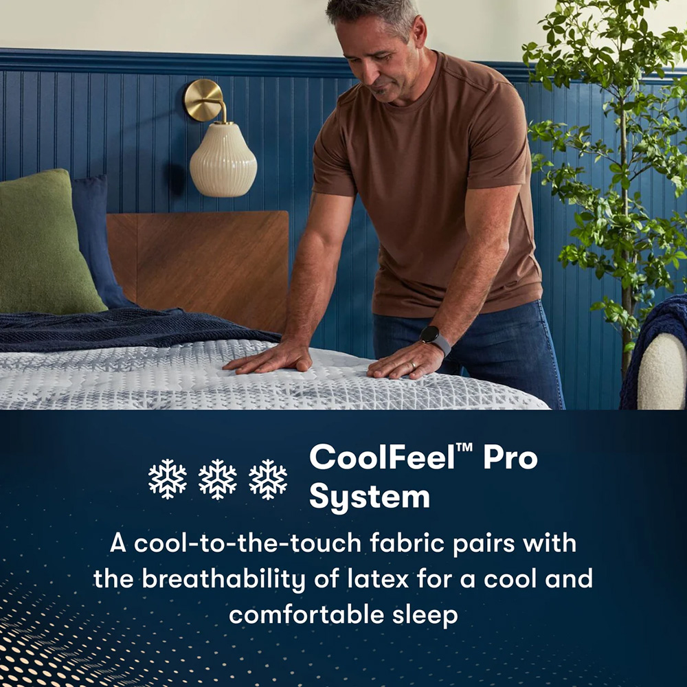 Bedding And Pillow Sets